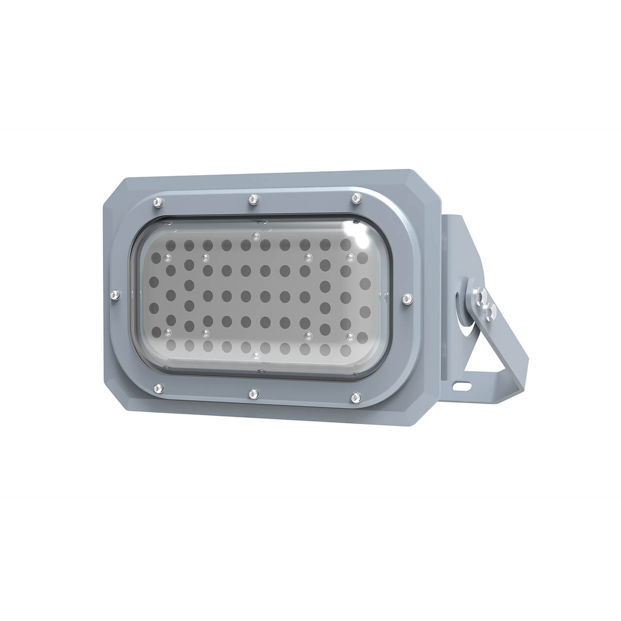 KHJ Lighting-Polar Bear LED Industrial Floodlight
