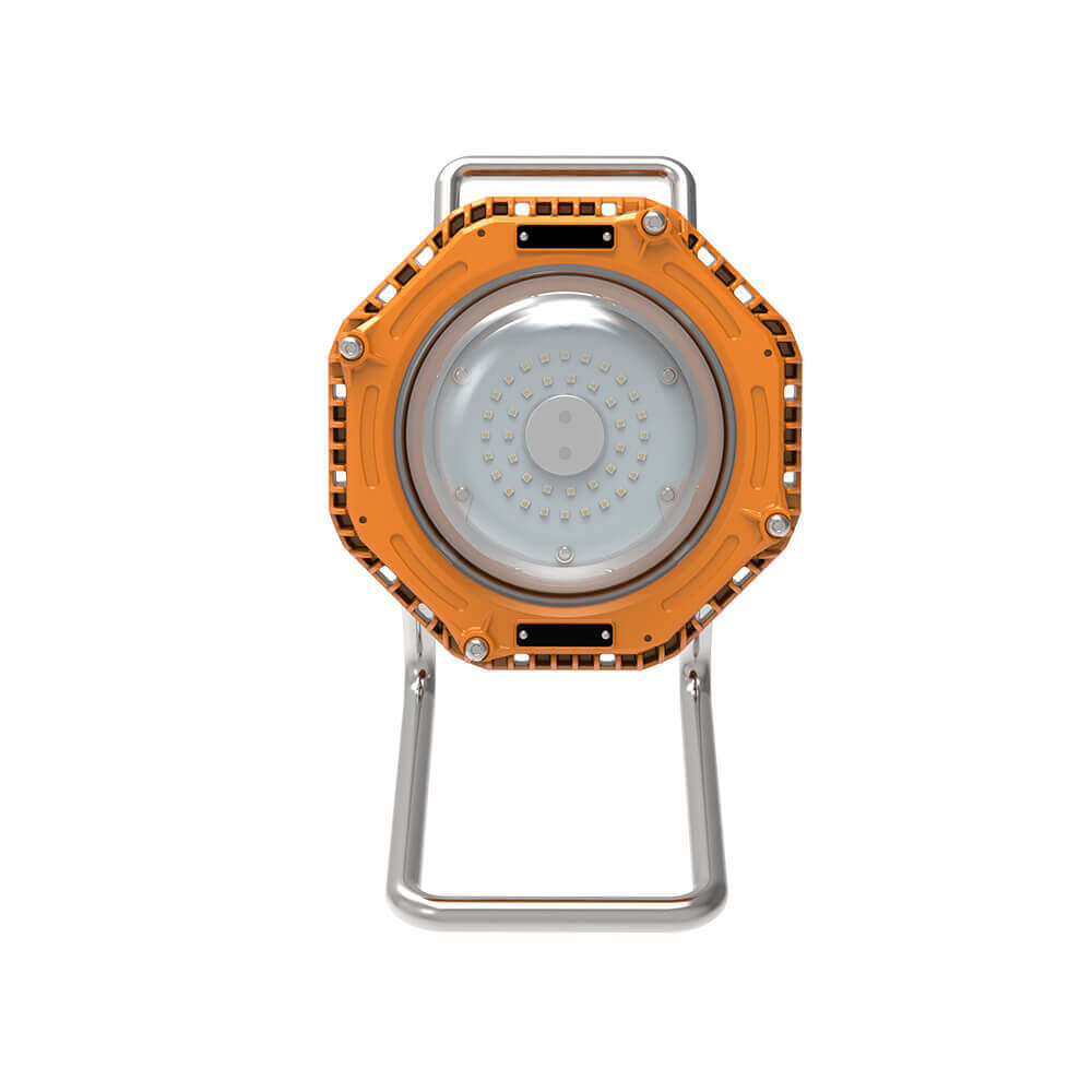 KHJ Lighting-Explosion-proof LED Emergency Light-Forest Frog 